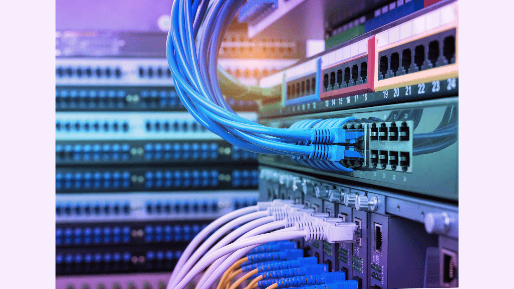 Close-up of a network server with blue and white Ethernet cables connected to multiple ports.